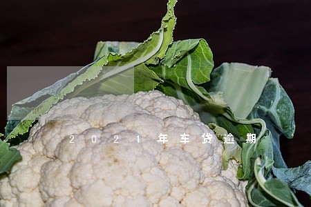 2021年车贷逾期 2021年车贷逾期