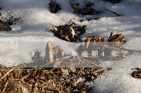 2021年逾期4年了 2021年逾期4年了