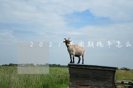 2021年逾期拖车怎么协商 2021年逾期拖车怎么协商
