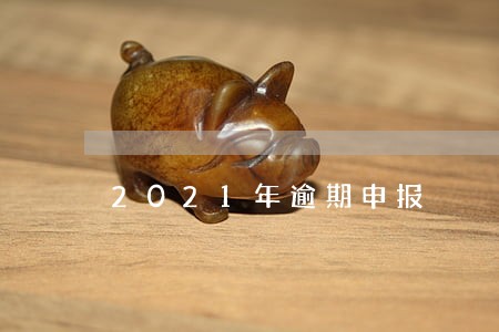 2021年逾期申报