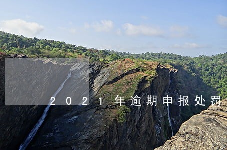 2021年逾期申报处罚 2021年逾期申报处罚