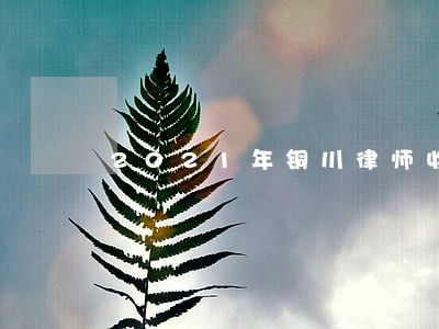 2021年铜川律师收费标准 2021年铜川律师收费标准