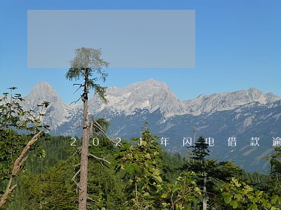 2021年闪电借款逾期4年 2021年闪电借款逾期4年