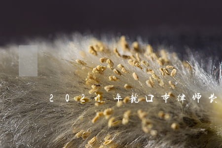 2021年龙口市律师费收费标准