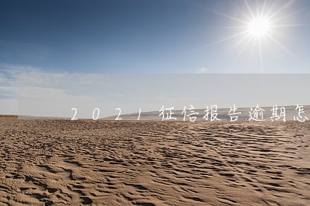 2021征信报告逾期怎么看 2021征信报告逾期怎么看