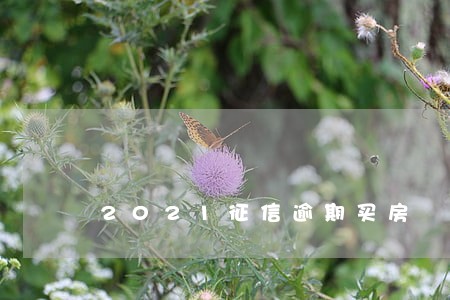 2021征信逾期买房 2021征信逾期买房