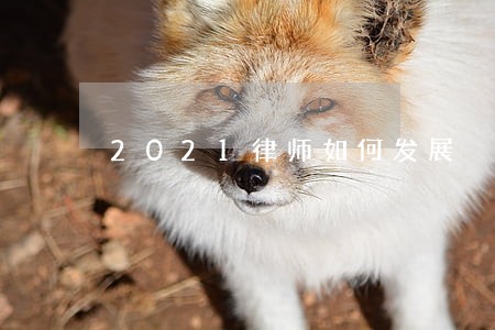 2021律师如何发展