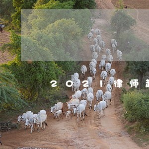 2021律师起草劳务派遣合同 2021律师起草劳务派遣合同
