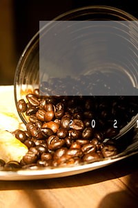 2021拍拍贷严重逾期 2021拍拍贷严重逾期