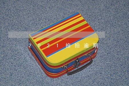 2021拍拍逾期 2021拍拍逾期