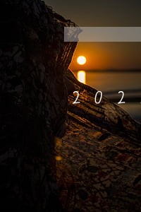 2021招商逾期协商政策 2021招商逾期协商政策