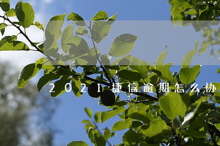 2021捷信逾期怎么协商 2021捷信逾期怎么协商