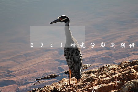 2021时光分期逾期催收 2021时光分期逾期催收