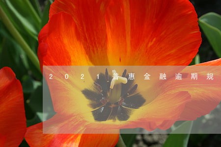 2021普惠金融逾期规模 2021普惠金融逾期规模