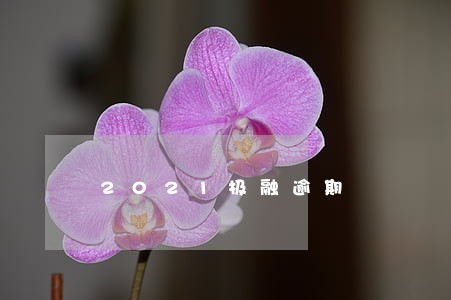 2021极融逾期 2021极融逾期