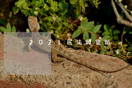 2021民法典复婚