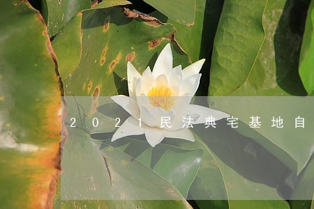 2021民法典宅基地自建房规定 2021民法典宅基地自建房规定