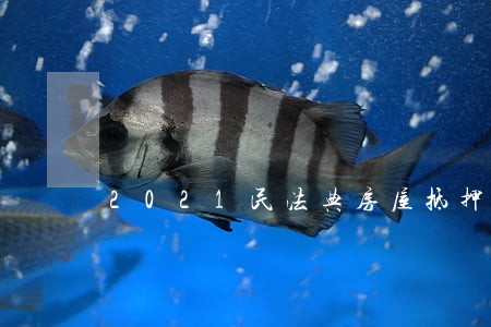 2021民法典房屋抵押过户 2021民法典房屋抵押过户