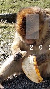 2021民生易贷逾期 2021民生易贷逾期