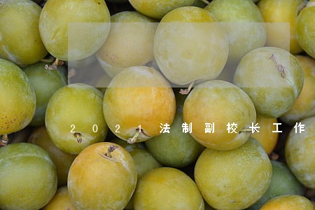 2021法制副校长工作职责 2021法制副校长工作职责