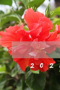 2021法律热点问题 2021法律热点问题