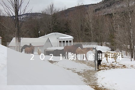 2021澳门逾期半年 2021澳门逾期半年