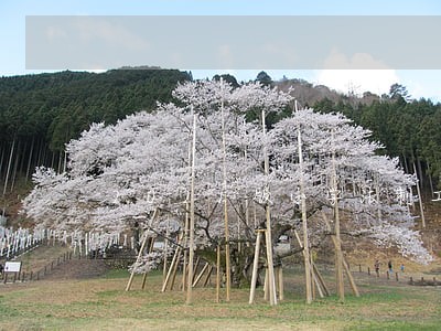 2021版小学法制工作计划 2021版小学法制工作计划
