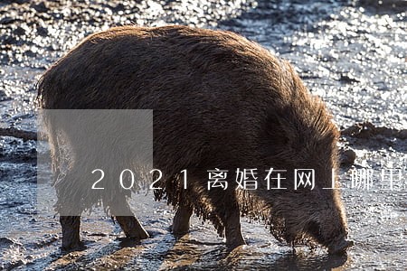 2021离婚在网上哪里申请 2021离婚在网上哪里申请