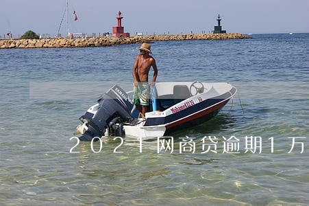 2021网商贷逾期1万 2021网商贷逾期1万