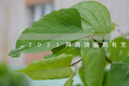 2021网商贷逾期有宽限期吗 2021网商贷逾期有宽限期吗