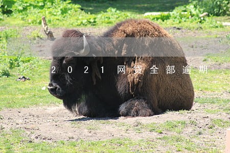 2021网贷全部逾期 2021网贷全部逾期