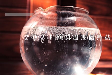 2021网贷逾期图片截图 2021网贷逾期图片截图