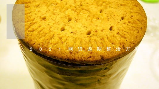 2021网贷逾期整治方案 2021网贷逾期整治方案