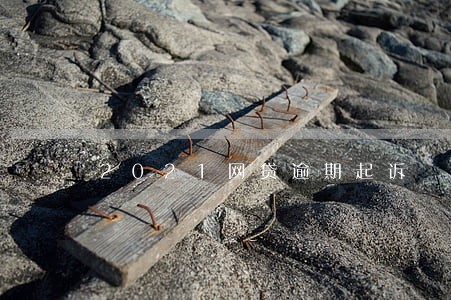 2021网贷逾期起诉