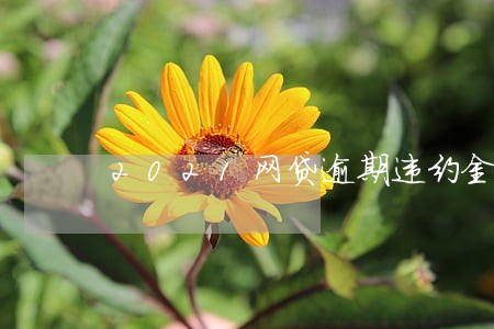 2021网贷逾期违约金 2021网贷逾期违约金