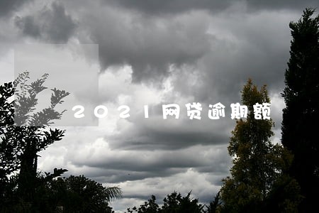 2021网贷逾期额 2021网贷逾期额