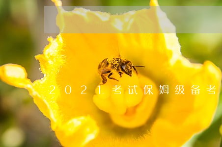 2021考试保姆级备考建议 2021考试保姆级备考建议