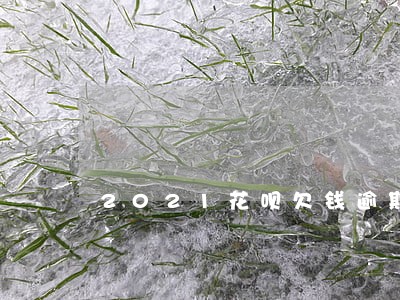 2021花呗欠钱逾期截图图片 2021花呗欠钱逾期截图图片