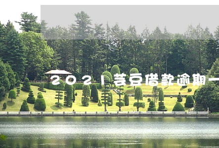 2021芸豆借款逾期一天 2021芸豆借款逾期一天