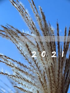 2021蚂蚁借呗逾期 2021蚂蚁借呗逾期