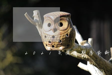 2021负债逾期房贷断供 2021负债逾期房贷断供