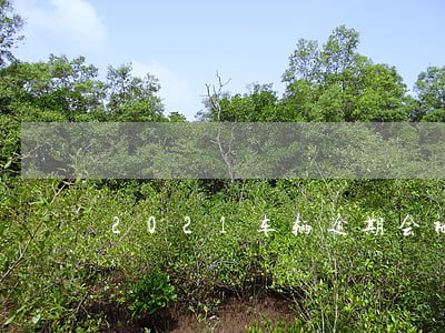 2021车辆逾期会被拖车吗 2021车辆逾期会被拖车吗