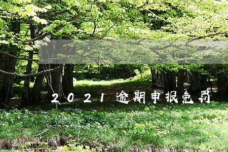 2021逾期申报免罚 2021逾期申报免罚