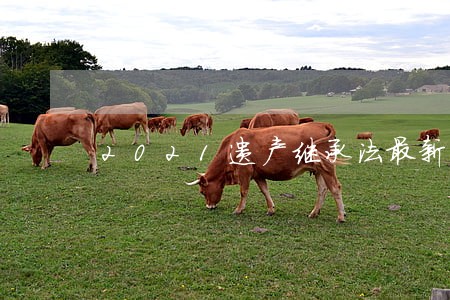 2021遗产继承法最新规定 2021遗产继承法最新规定