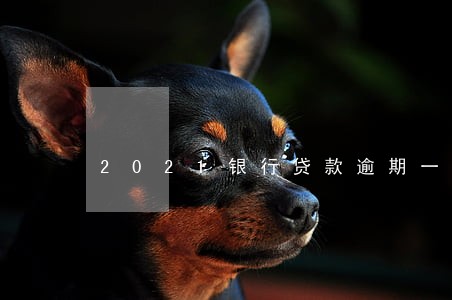 2021银行贷款逾期一天后果 2021银行贷款逾期一天后果