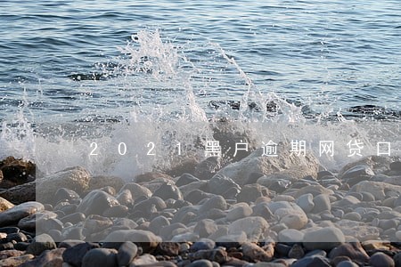 2021黑户逾期网贷口子 2021黑户逾期网贷口子