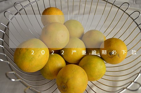 2022严重逾期必下款的贷款 2022严重逾期必下款的贷款