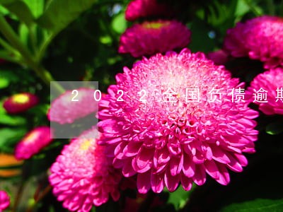 2022全国负债逾期人数
