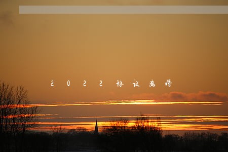 2022协议离婚 2022协议离婚