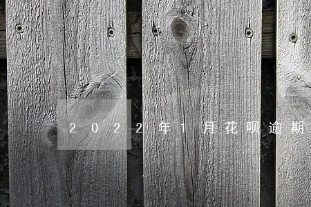 2022年1月花呗逾期图片